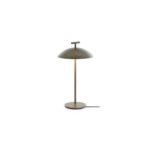 Mini Geen-A USB Table Lamp - Bronze