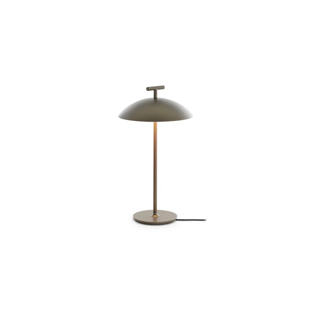 LSP Website Product Photo (1) Mini Geen-A USB Table Lamp - Bronze - Image 1