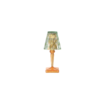 Battery Table Lamp - Mint Orange