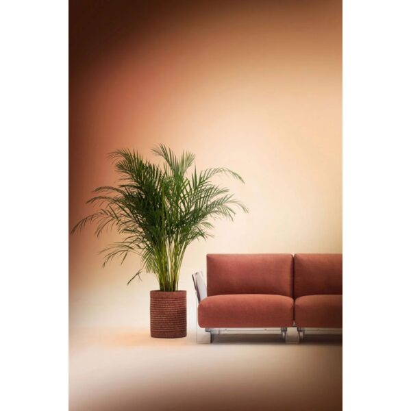 Kleo Large Cachepot - Beige - Image 4