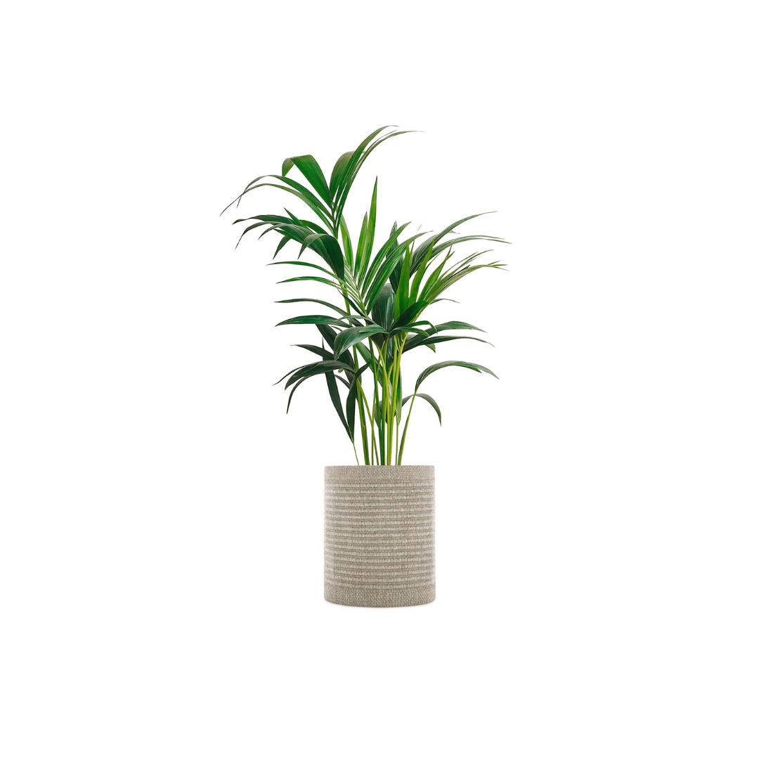 LSP Website Product Photo (14) Kleo Large Cachepot - Beige - Image 1