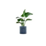 Kleo Small Cachepot - Blue